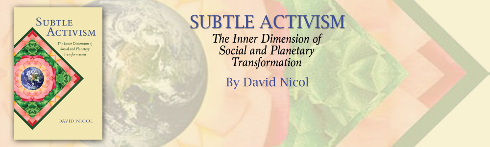 Subtle Activism Book Slide